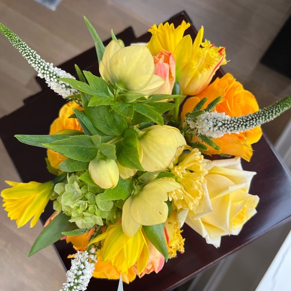 Meet your Posher, Adriana - Picture 1 of 1